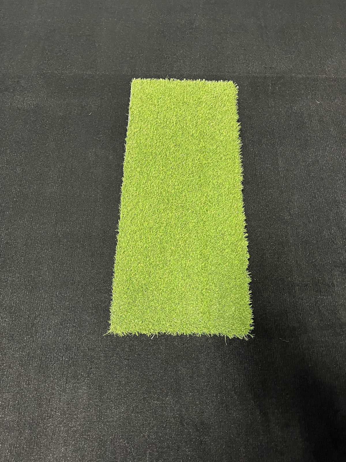 Big Moss Pure Flight hitting strip
